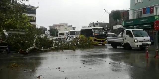 Bursa'da etkili olan sağanak yağış sonrası Mudanya'da karayla deniz birleşti