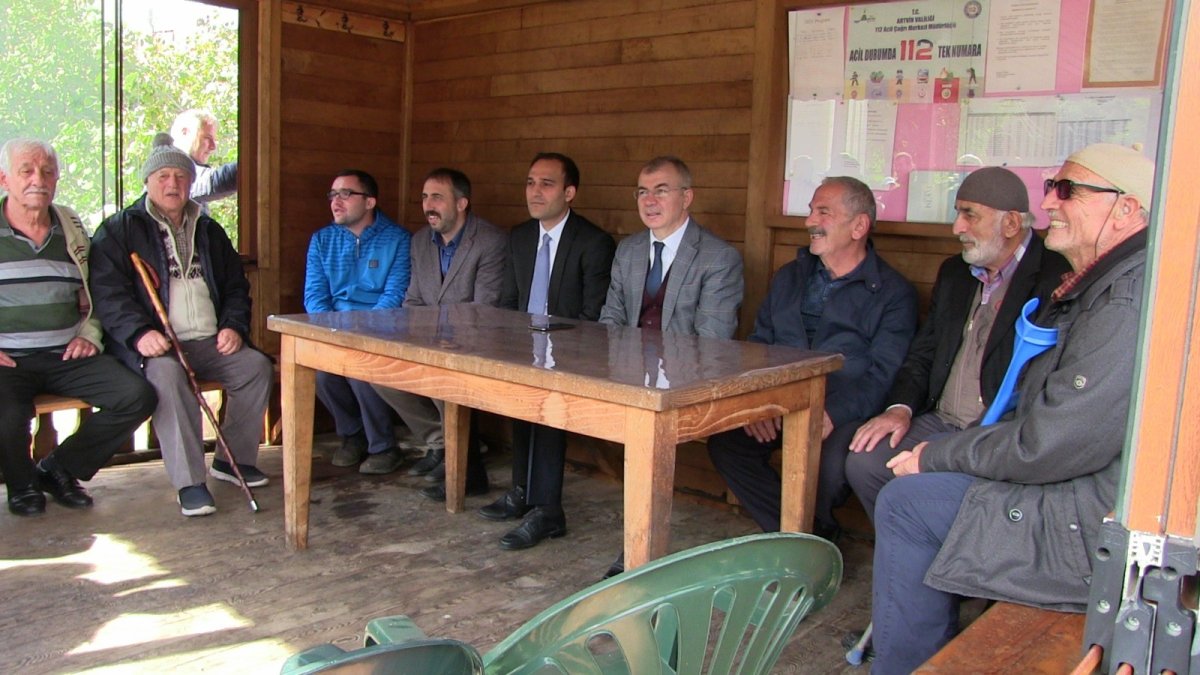 Artvin de kokarca böceği istilası #2