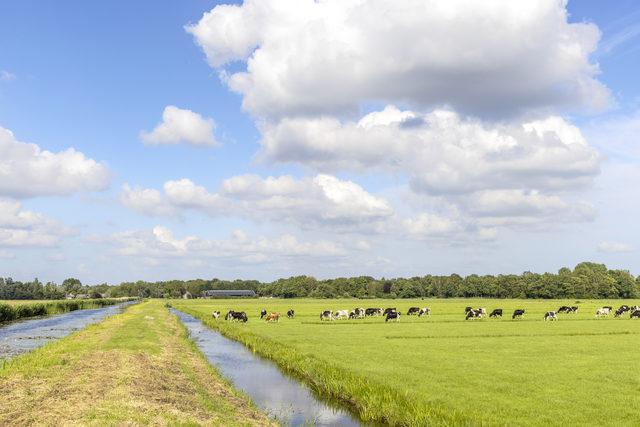 iStock-1440057221