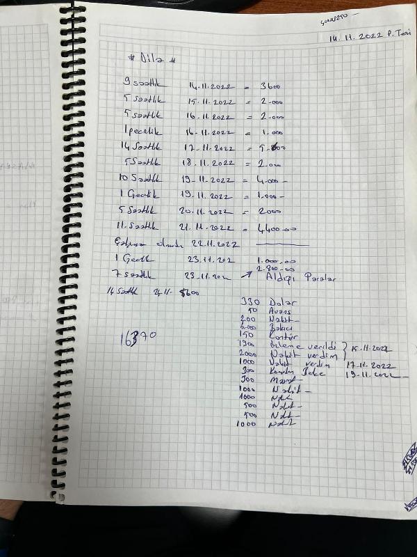 Fuhuş baskınında ilginç detay! İlişkiye zorlanan Rus kadının mesleği herkesi şaşırttı