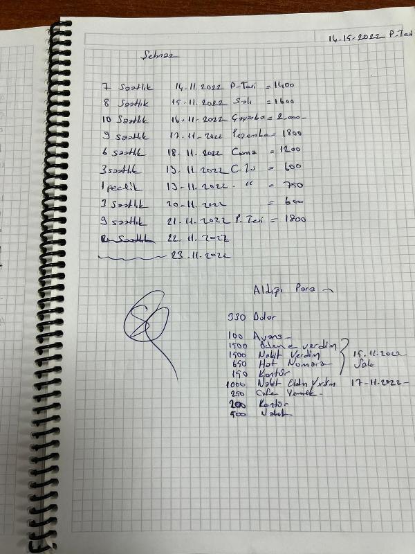 Fuhuş baskınında ilginç detay! İlişkiye zorlanan Rus kadının mesleği herkesi şaşırttı