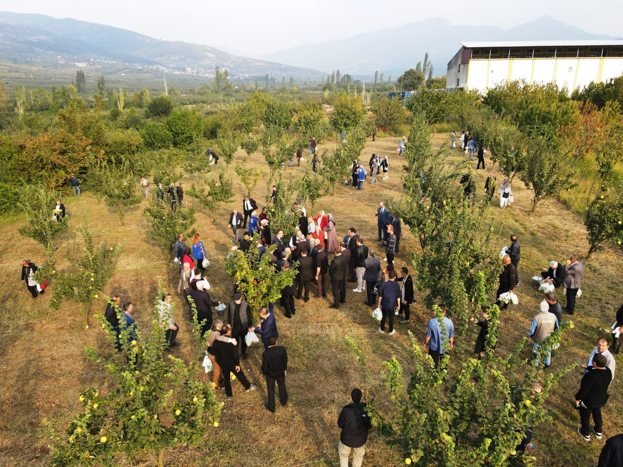 thumbnail_DJI_0904