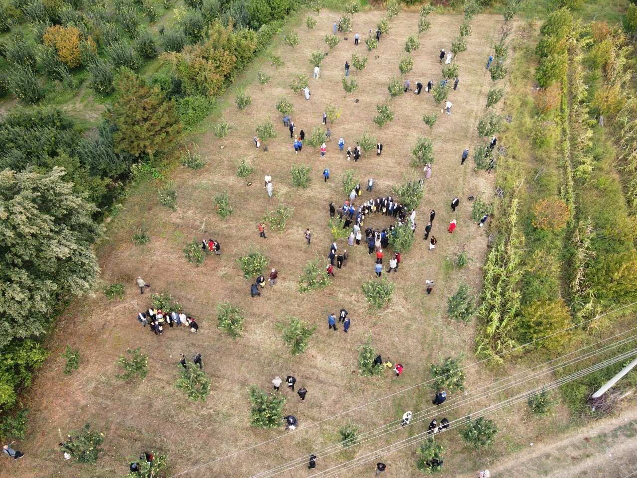 thumbnail_DJI_0886