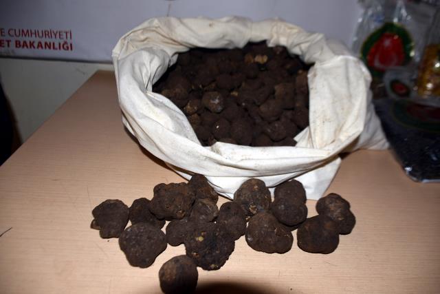 Kapıkule'de piyasa değeri 1 milyon lira olan trüf mantarı ve kehribar ele geçirildi