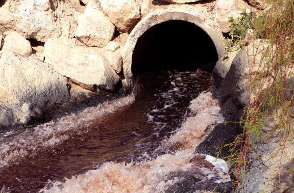 Kimyasal atıklar nehir suyunu zehre çevirdi! Binlerce balık ve arı öldü, bölgede kötü kokudan nefes alınmıyor