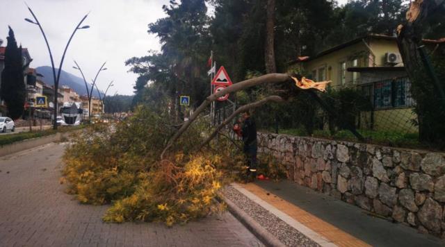 Marmaris'i fırtına ve sağanak vurdu! Otelin camı patladı, devrilen ağaçlar arabalara zarar verdi