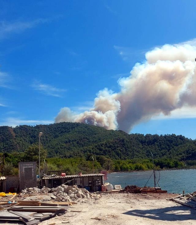 Muğla'da orman yangını! Ekipler yangına havadan ve karadan müdahale ediyor