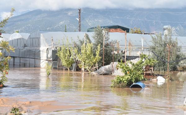 Selin vurduğu Kumluca'da sera ve ekili alanlar sular altında! Ürünler ziyan oldu, çevredeki vatandaşlar mahsur kaldı