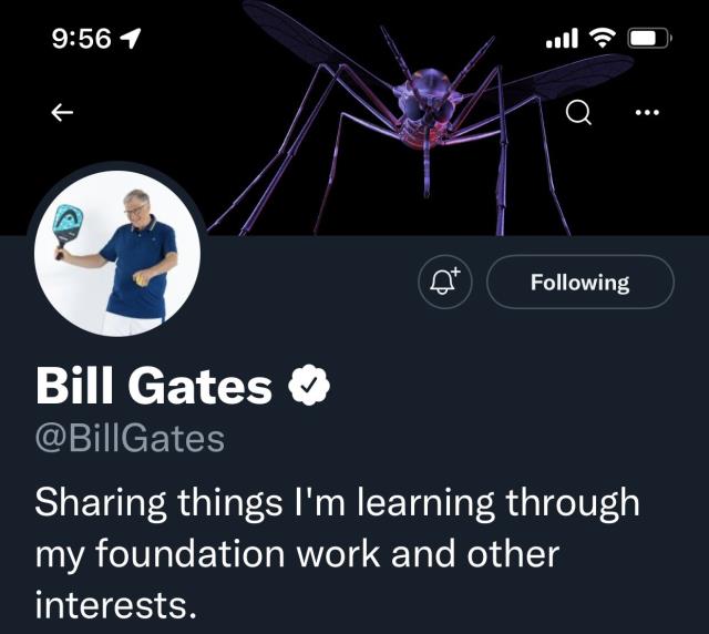 Sivrisineklerin 11 kişiyi öldürdüğü gün Bill Gates'in profiline koyduğu fotoğraf kafaları karıştırdı