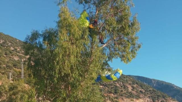 Yer: Fethiye! 1700 metreden atladı, ağaçta asılı kaldı