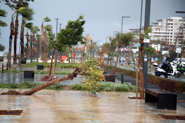 Yollar göle döndü, ağaçlar devrildi! Antalya'da yağmur ve fırtına, hayatı durma noktasına getirdi