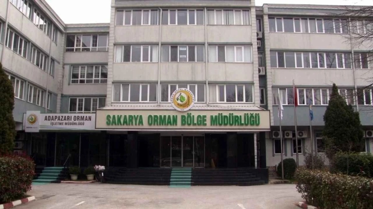 Adapazarı Orman İşletme Müdürlüğü İhaleye Çıkıyor: 1200 Ster Odun Üretimi İçin Hizmet Alınacak