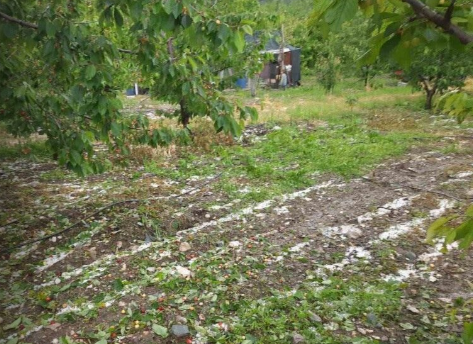 Dolu alarmı! Hasar tespiti bayram sonrası yapılacak