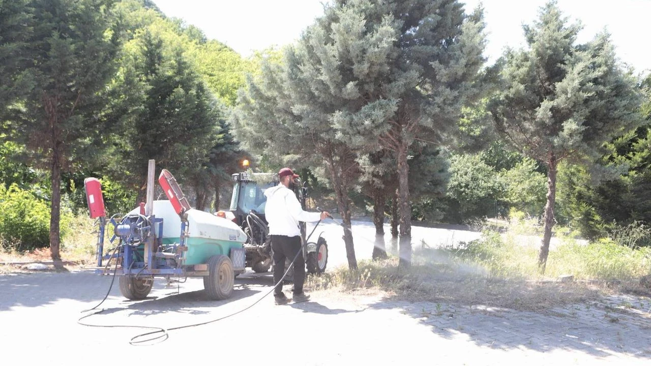 Arifiye’de Park ve Bahçeler ekipleri yaz mesaisine hız verdi