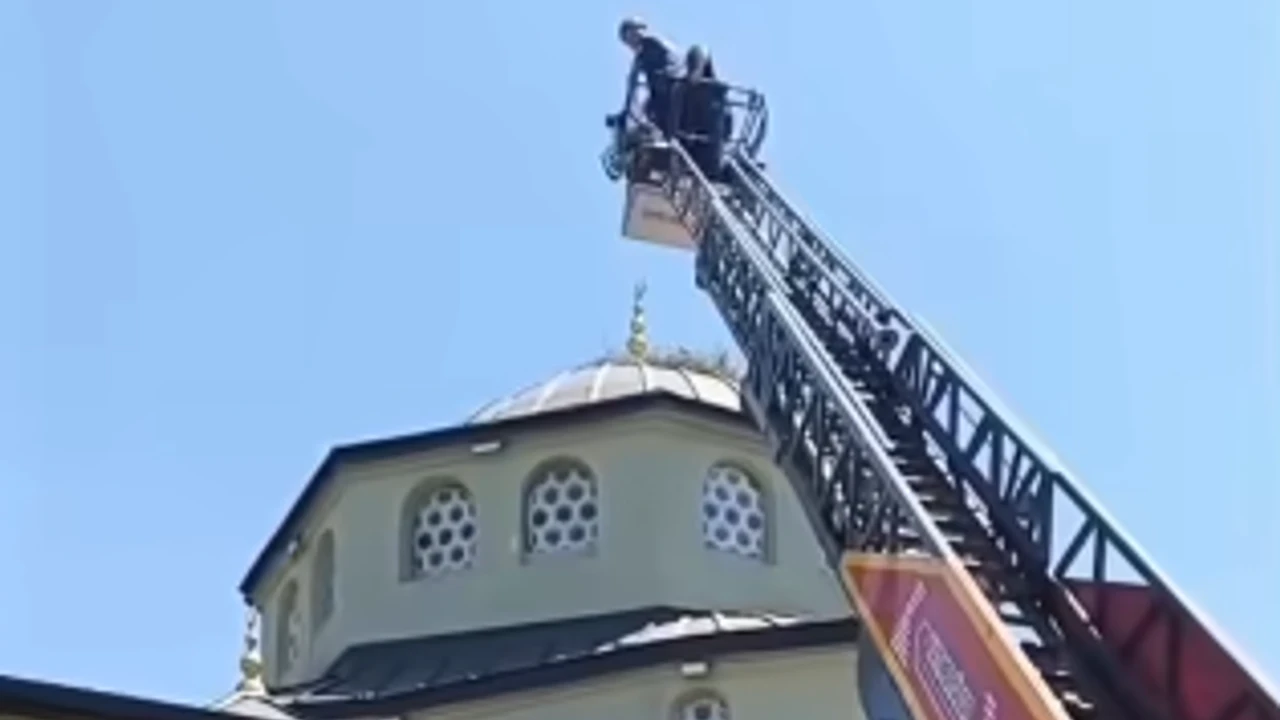 Ayağına ip dolanan yavru leyleği itfaiye ekipleri kurtardı