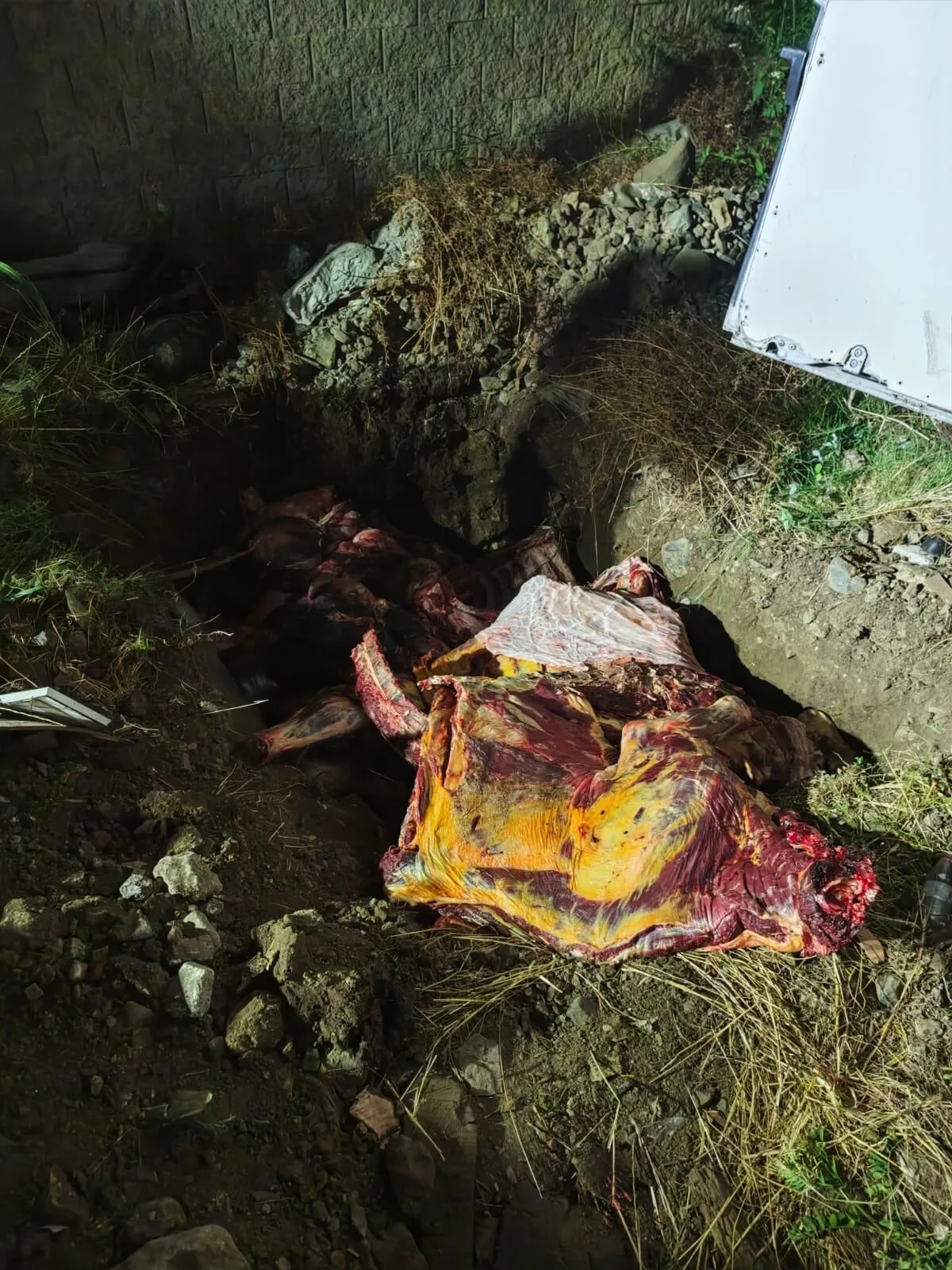 Geyve’de 1,8 ton menşei belirsiz et imha edildi