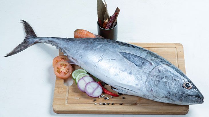 Palamut avı için geri sayım başladı