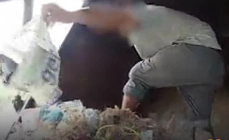 Altınlarını çöpe attı, çöp kamyonunun peşine düştü