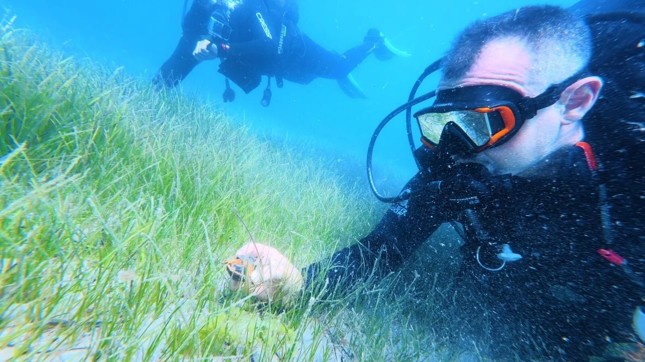 Karadeniz kıyılarındaki ilk su altı kazısında 2 bin 500 yıllık tarihe dalış