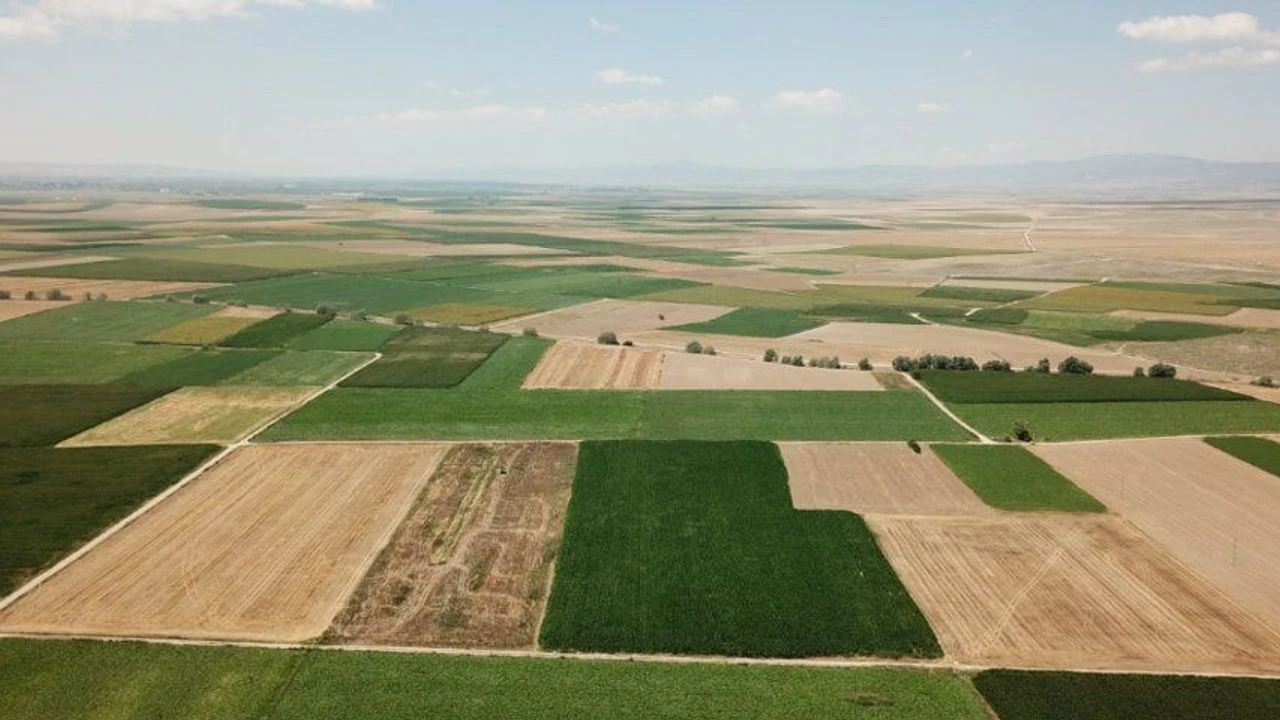 Sakarya’da borçlu çiftçilerin tarlaları satışa çıkarılıyor