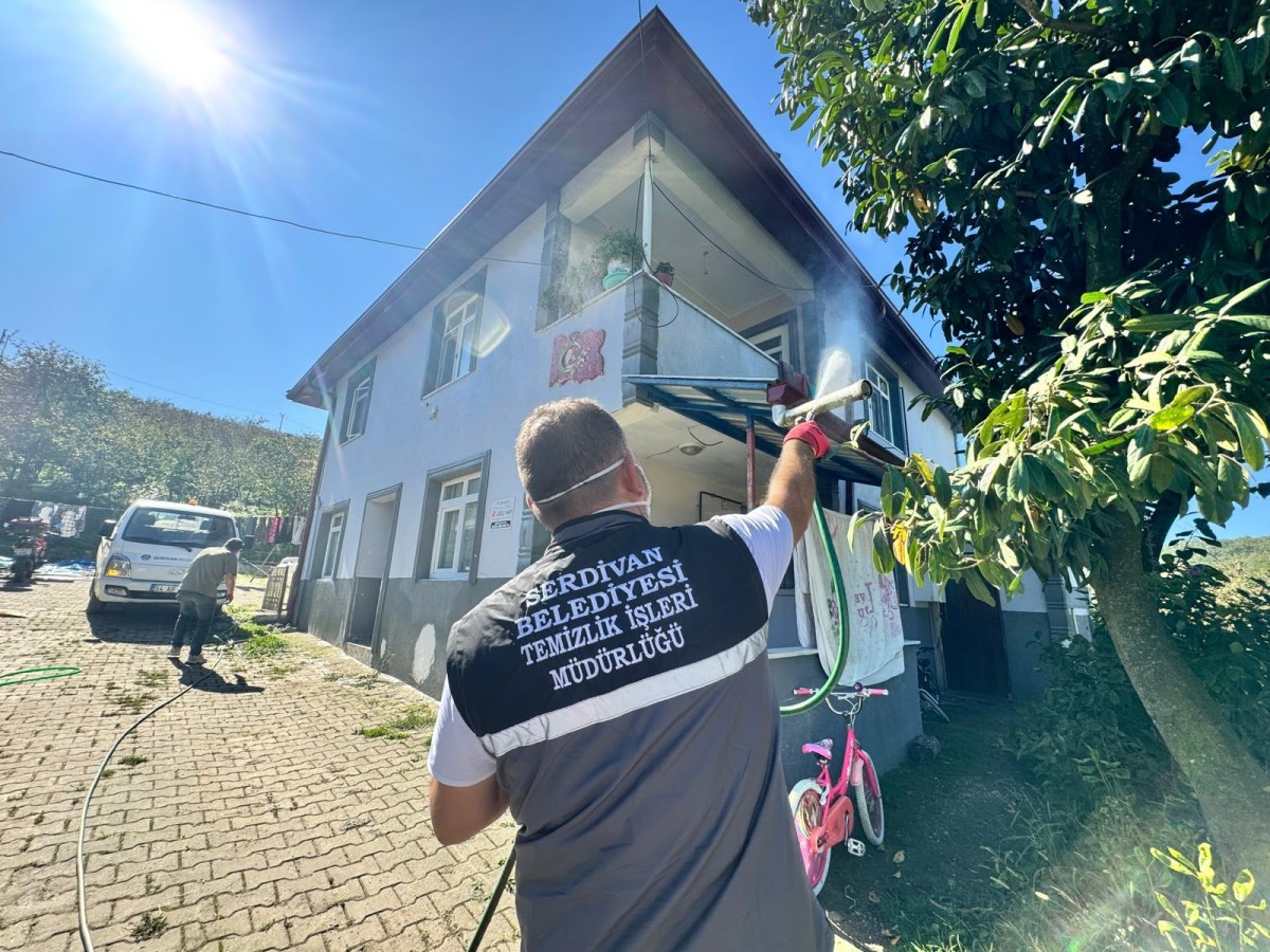 Kahverengi kokarca evleri sardı! Ekipler harekete geçti