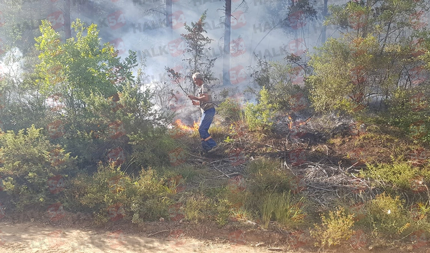 Taraklı'da orman yangını! Ekipler sevk edildi