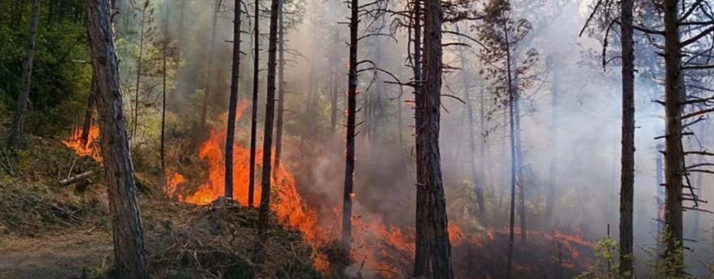 Mudurnu'da orman yangını kontrol altına alındı