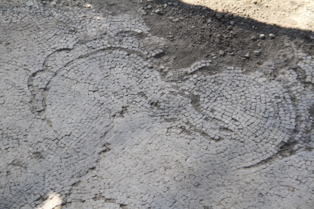 Tarlasına fidan dikmek için çukur kazan çiftçi, Roma dönemine ait mozaik buldu