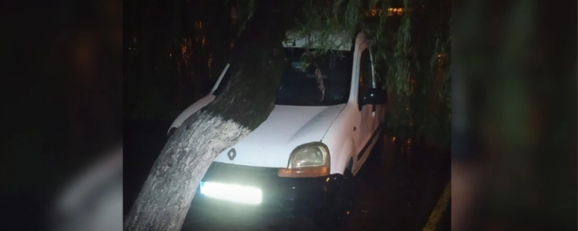 Fırtınada sökülen ağaç hafif ticari aracın üzerine devrildi