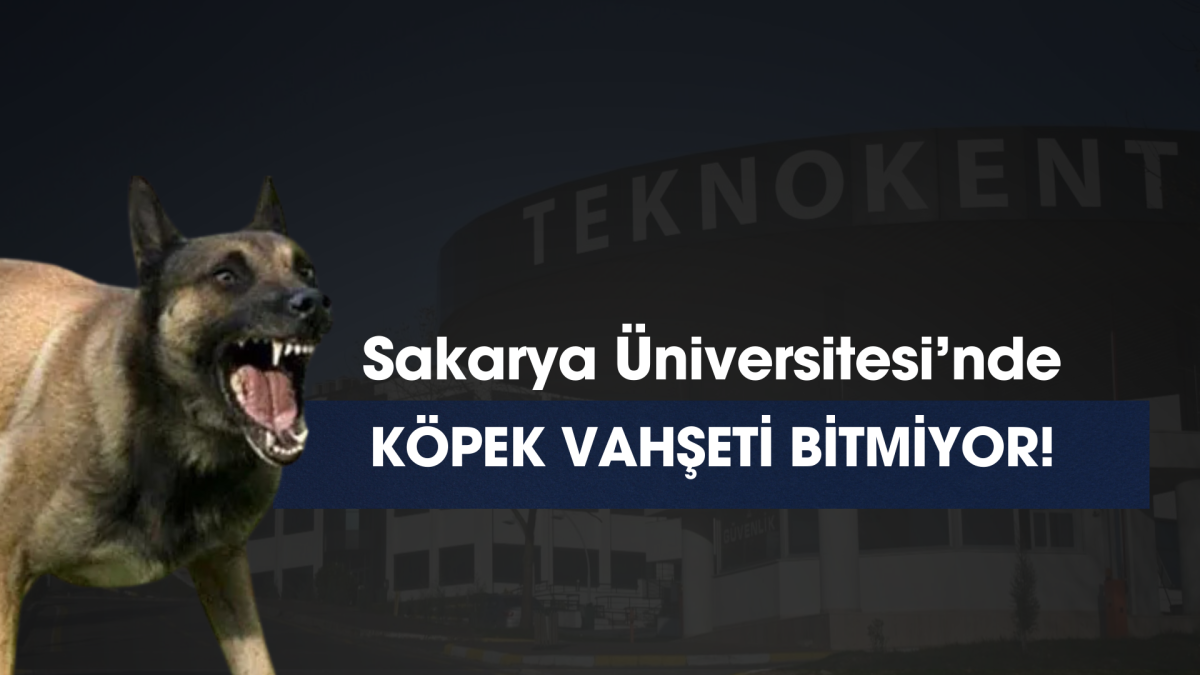 Sakarya Üniversitesin'de Köpek Saldırısı!