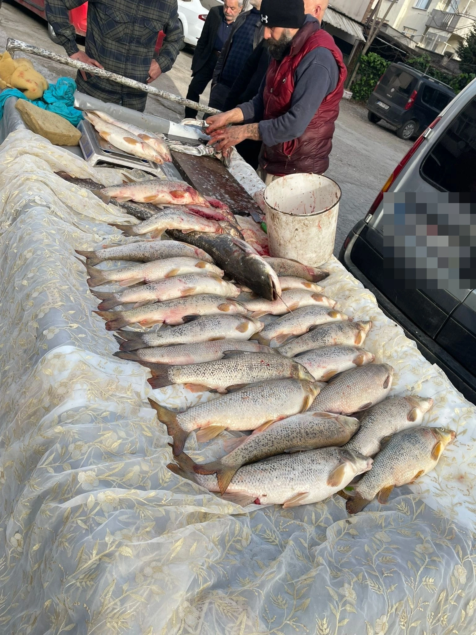 Şehrin Göbeğinde Yasak Balık Satışı: Denetim Nerede?