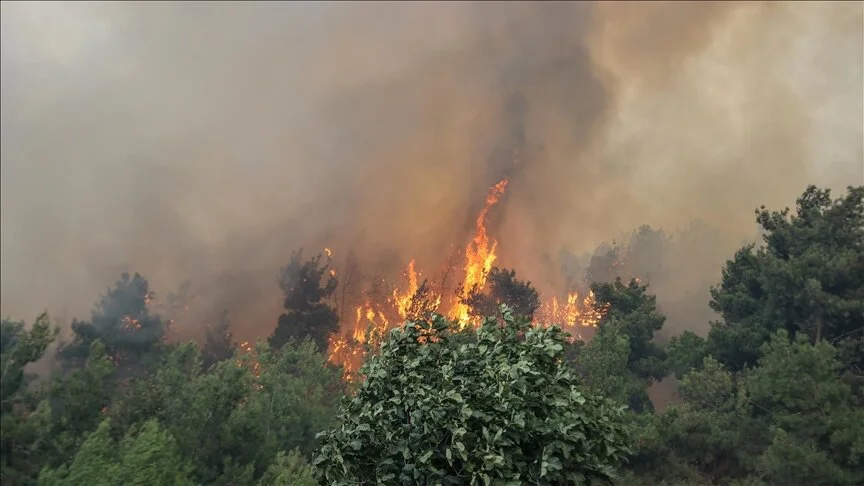 Bursa'da ormanlık alanda yangın çıkaran sanığa 8 yıl 4 ay hapis cezası verildi