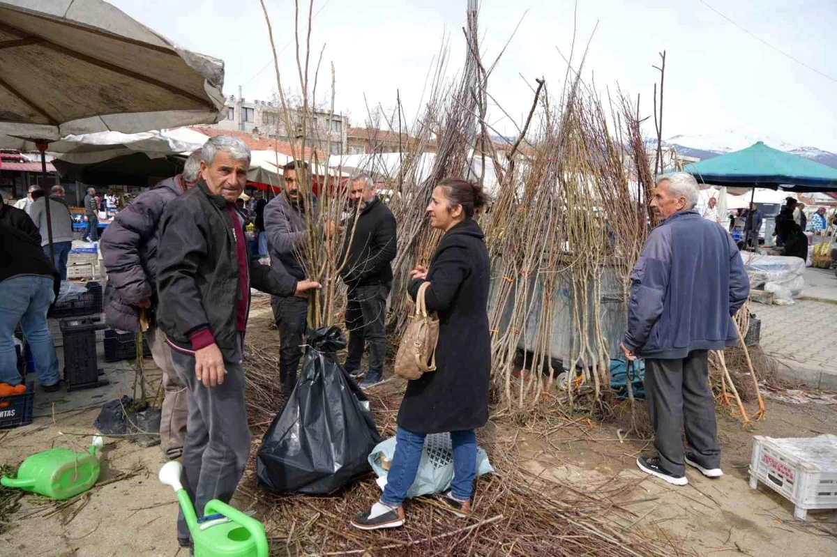 Erzincan'da Bahar Ayında Meyve Fidanları Satışa Sunuldu