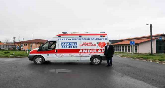 Can dostlar için yeni hizmet: Sokak hayvanları ambulansı