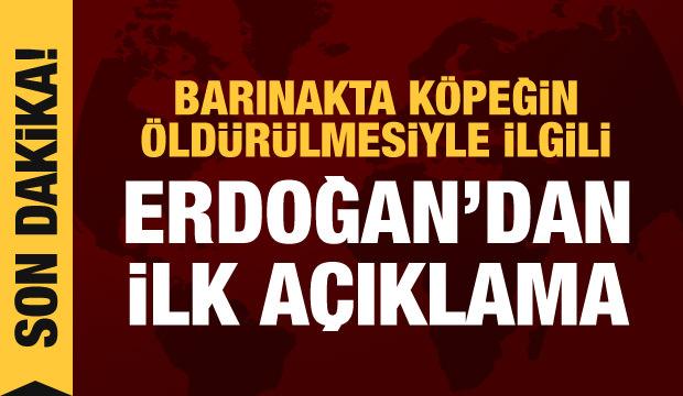 Erdoğan'dan barınakta öldürülen köpek hakkında açıklama