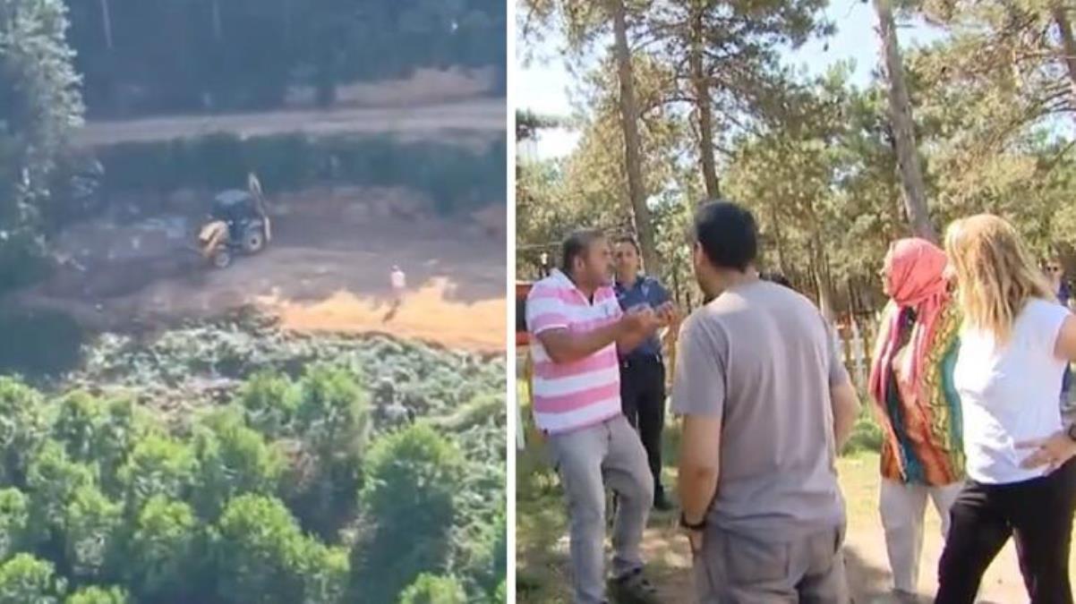 İstanbul'da ormanda ağaç kesildiği iddiası mahalleliyi sokağa döktü