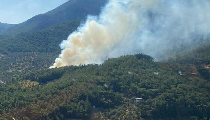 İzmir ve Manisa'da orman yangını! Havadan ve karadan müdahale ediliyor...