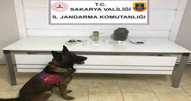 Jandarma uyuşturucuya geçit vermiyor: 2 gözaltı