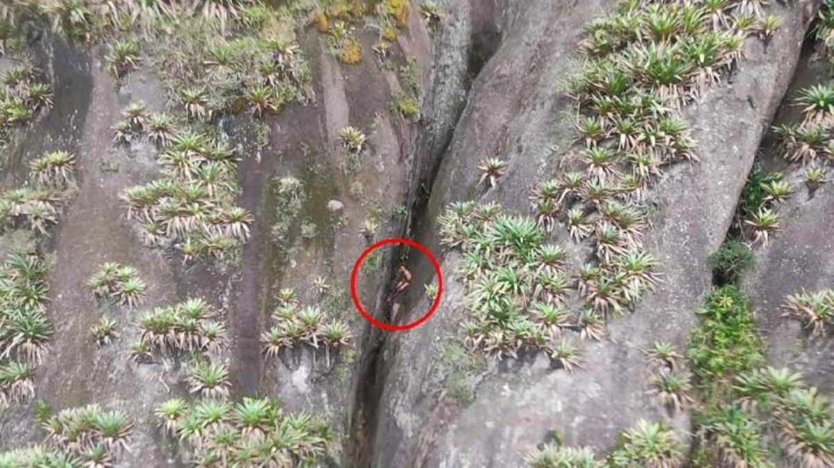 Kimse nedenini çözemedi! 300 metrelik vadide çıplak şekilde mahsur kalan genç adam güçlükle kurtarıldı