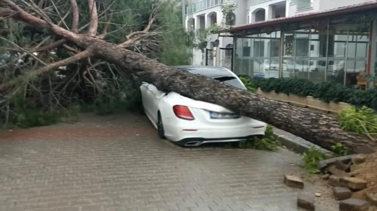 Marmaris savaş alanına döndü! Fırtınanın vurduğu dev ağaç lüks otomobili hurdaya çevirdi