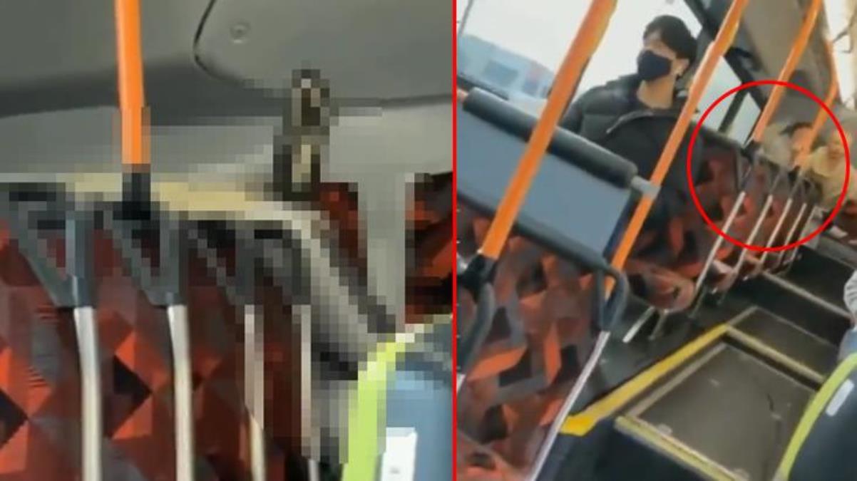 Otobüsün arka koltuğunda göz göre göre cinsel ilişkiye girdiler, savunmaları da akılalmaz
