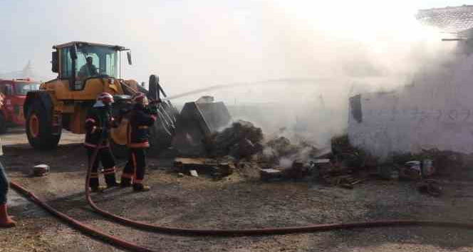 Sakarya'da besi çiftliğinde yangın: 1 kişi dumandan etkilendi