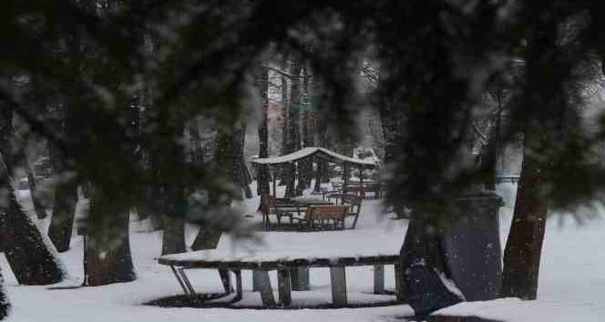 Sakarya'da kar yağışı etkili oluyor
