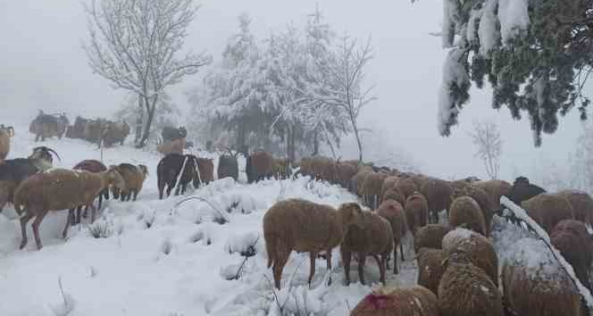 Sakarya'da yüksek kesimlerde kar yağışı etkili oluyor