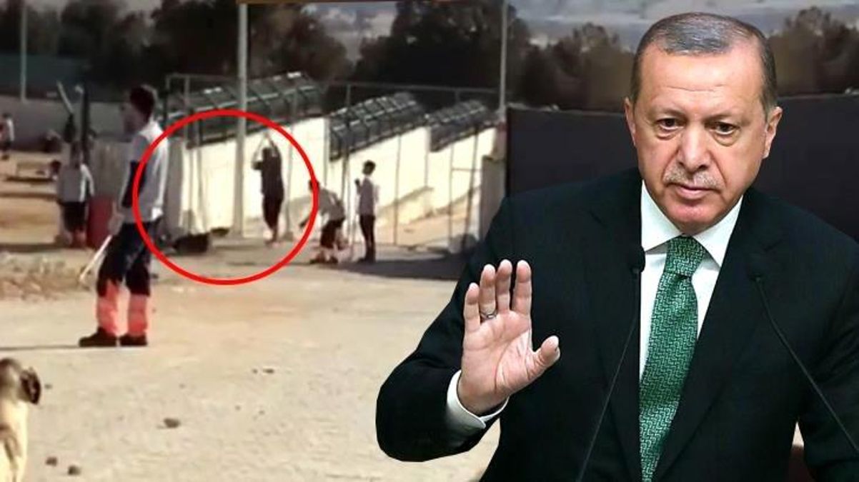 Son Dakika! Cumhurbaşkanı Erdoğan'dan Konya'daki köpek katliamına tepki: İki vicdansızın yaptıklarını ben de üzüntüyle izledim