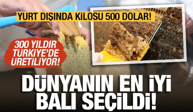 Yurt dışında kilosu 500 dolar! Türkiye'nin tescilli balı bu yılda 4 madalya birden aldı