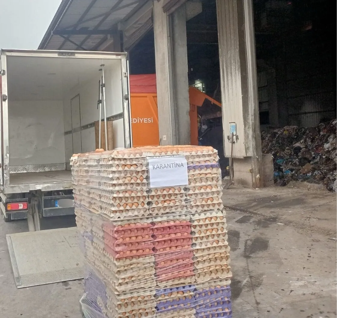 42 bin sahte organik yumurta ele geçirildi