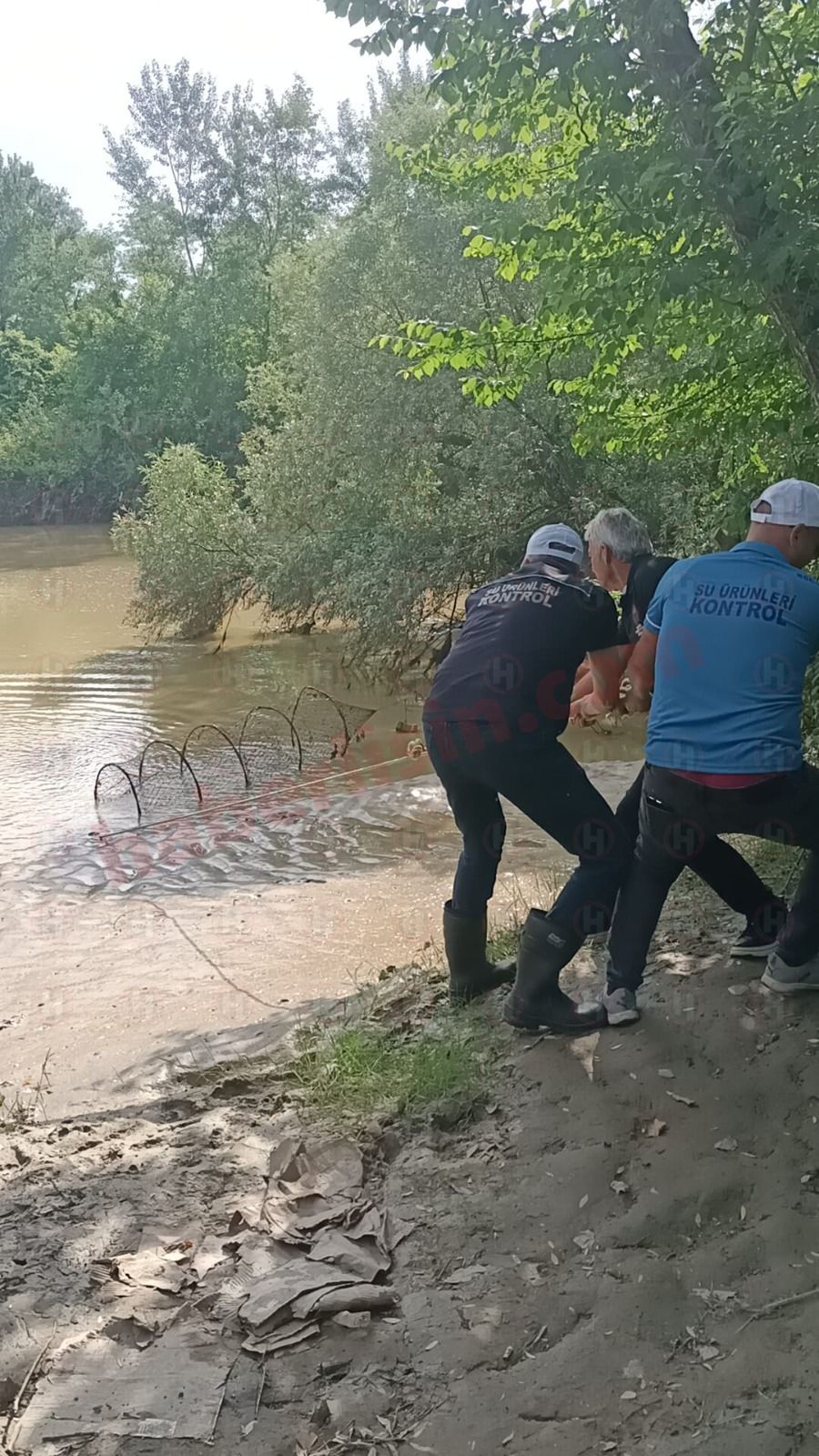 Sakarya Nehri'nde Kaçak Avcılığa Geçit Yok: Nehre Atılan Kasnaklar Toplatıldı