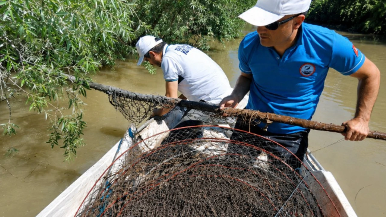 Sakarya Nehri’nde kaçak avcılığa geçit yok