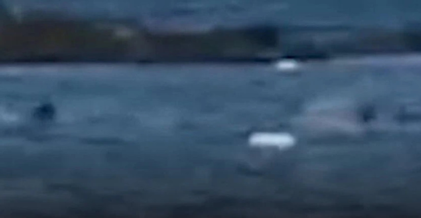 Karasu Sahili'nde Can Pazarı